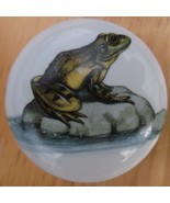 Cabinet Knobs Knob w/ Frog Frogs Toad #1 - $5.25