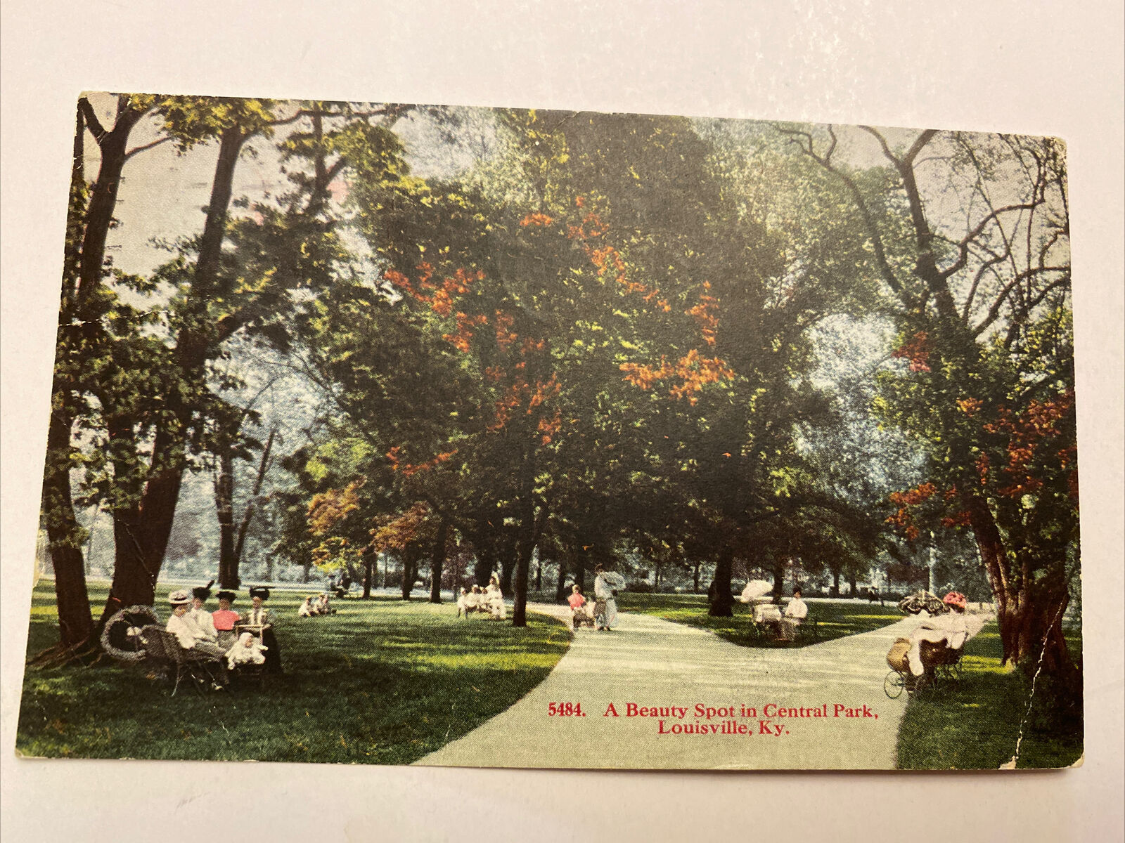 1914 Un Belleza Punto En Central Parque, Louisville, Ky. Tarjeta Postal ...