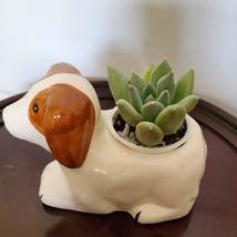 Dog Animal Planter with Succulent, live house plant in ceramic Puppy Plant Pot image 5
