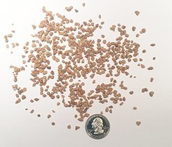 10 Cups Turface - Bonsai Growing Medium - Pre Screened - NO FINES - $29.70