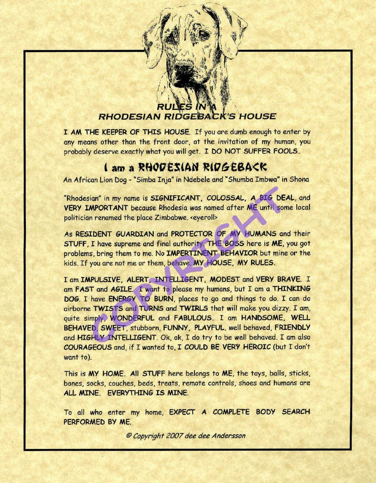 rhodesian ridgeback stuff