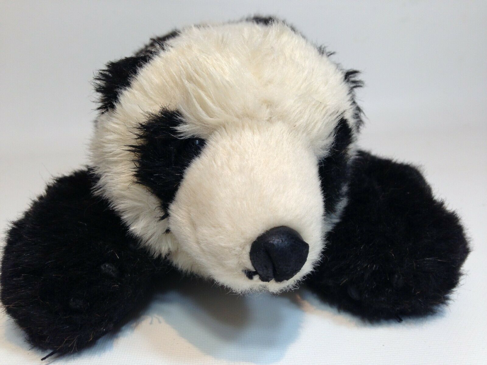 ditz stuffed bear