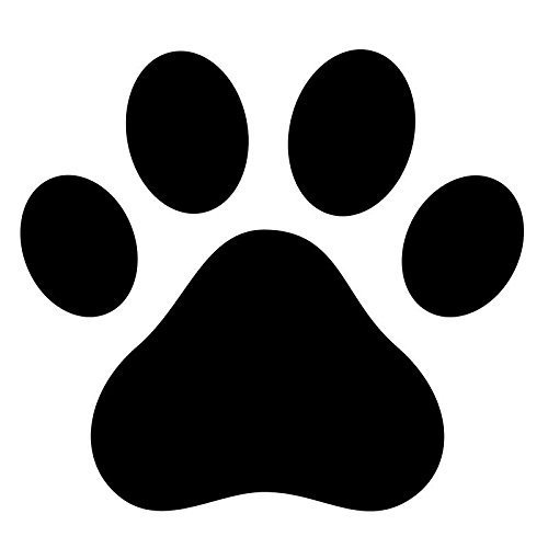 Pack of 3 Dog Paw, Dog Print Stencils, 11x14, 8x10 and 5x7 Made from 4 ...