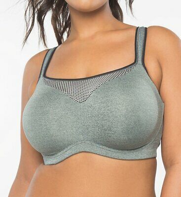 34h sports bra