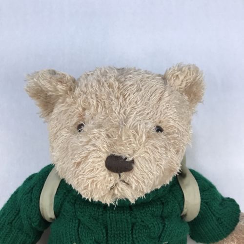 barnsie teddy bear