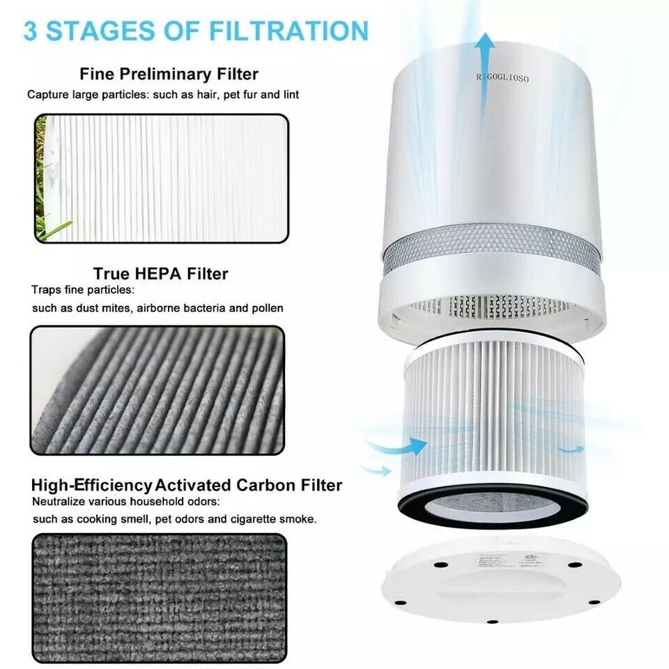 RIGOGLIOSO Air Purifier For Home True HEPA Filters Filtration with Night Light - Air Filters