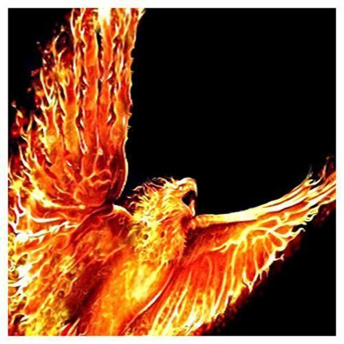 Phoenix Rising New Beginnings Spell! Rise from The Ashes! Success Respect!