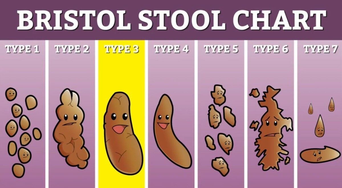 Vinyl Sticker 25x14cm laptop wall medical Bristol stool chart humour