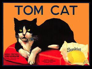 Vintage Quality POSTER.Tom CAT.Pet Decor.Lovely art.House Interior design.302