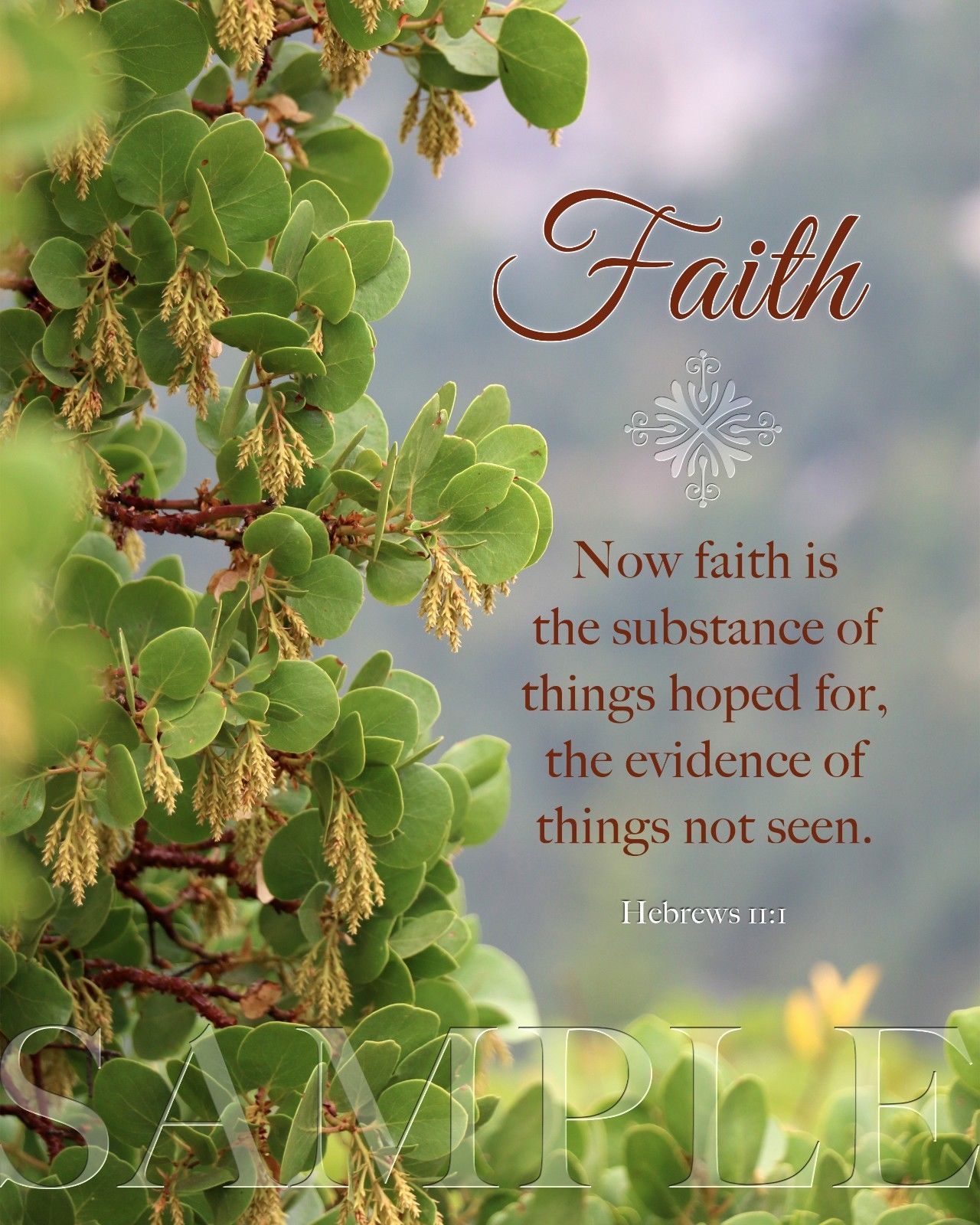 bible quotes about faith