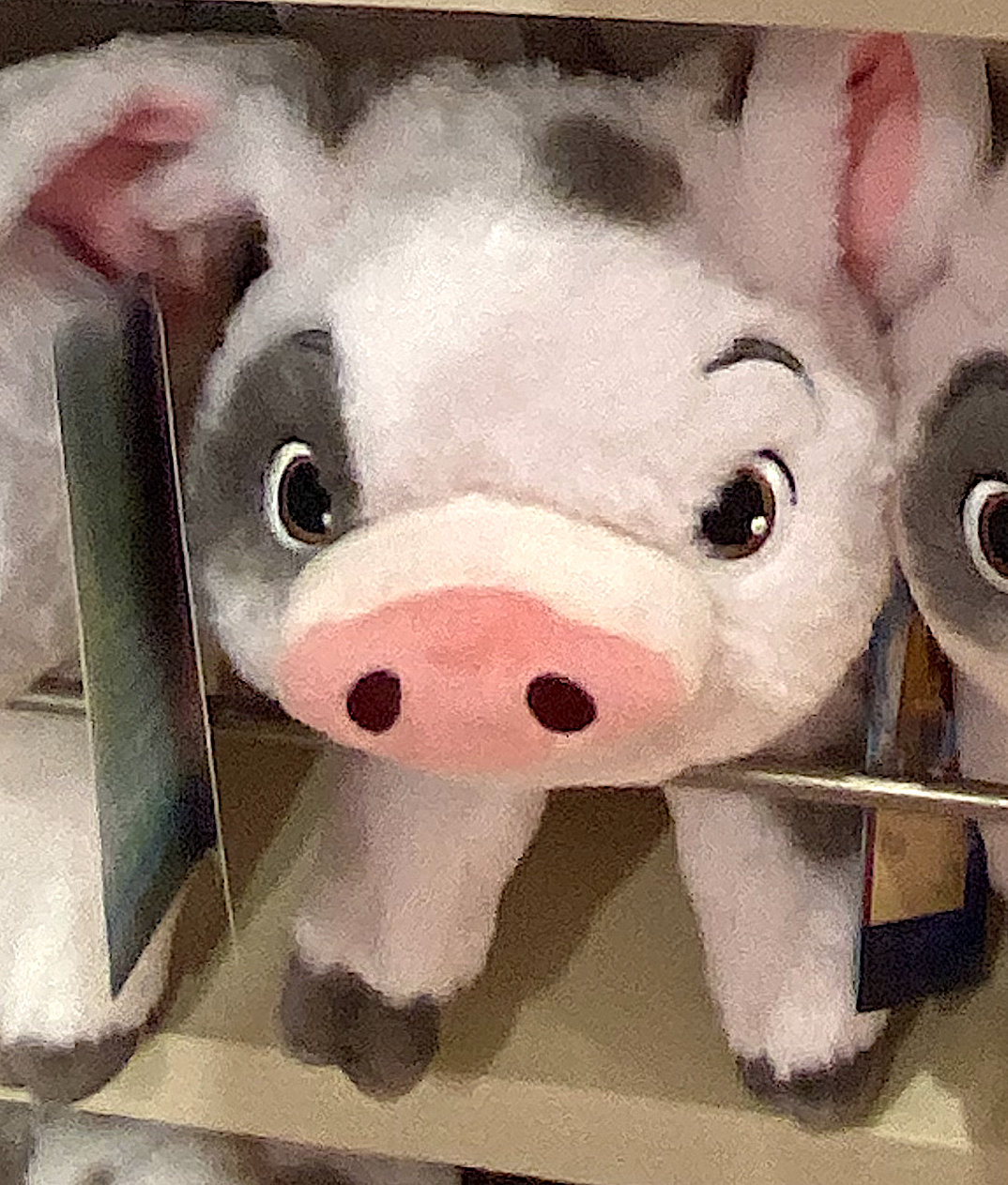 pig from moana plush