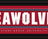 Stony brook csul1b22sbun 1500 blk thumb155 crop
