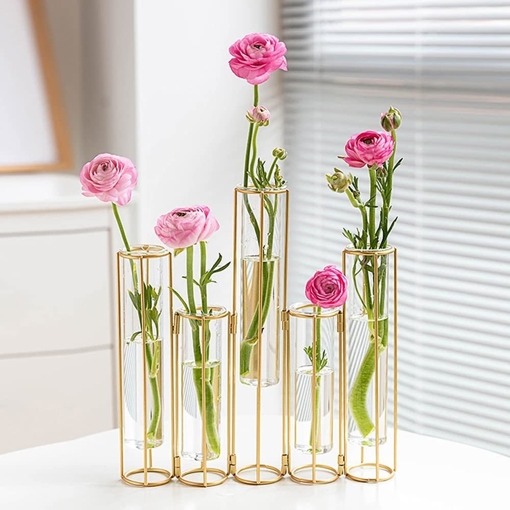 Bigsee Hydroponic Test Tube Vase Set Of 5, Gold Hinged Plant Vases