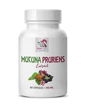 mucuna pruriens Powder - MUCUNA PRURIENS Extract - Mood Support Vitamins - Energ - $15.79