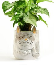 Grey Cat Pet Planter Adopt Jinx - Plant Parent Buddies Ceramic Drainage