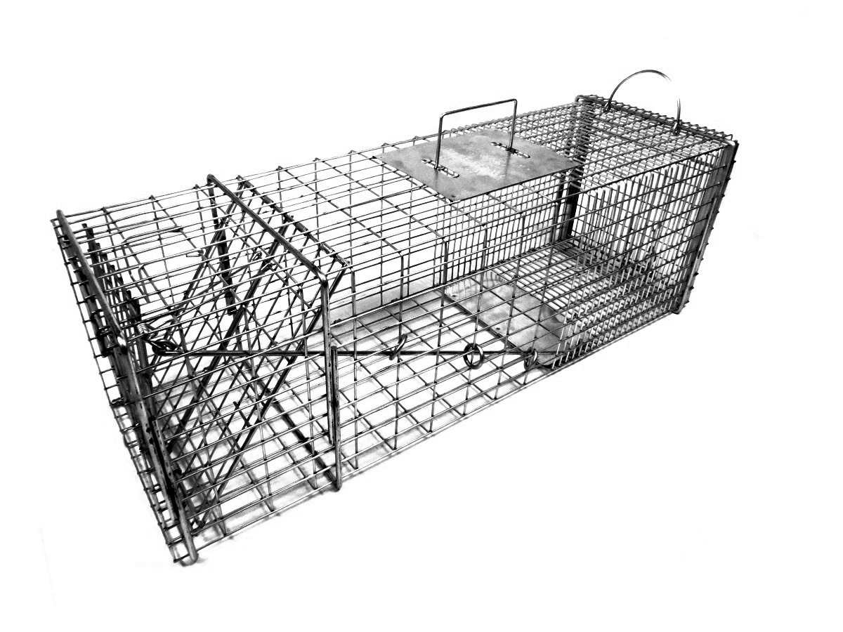 Tomahawk Model 6010 Raccoon, Woodchuck / Groundhog Trap with One Trap