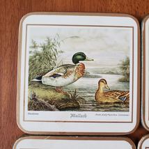 Pimpernel Coasters, Game Birds, set of 6 in Box, Vintage Duck Pheasant Partridge image 4