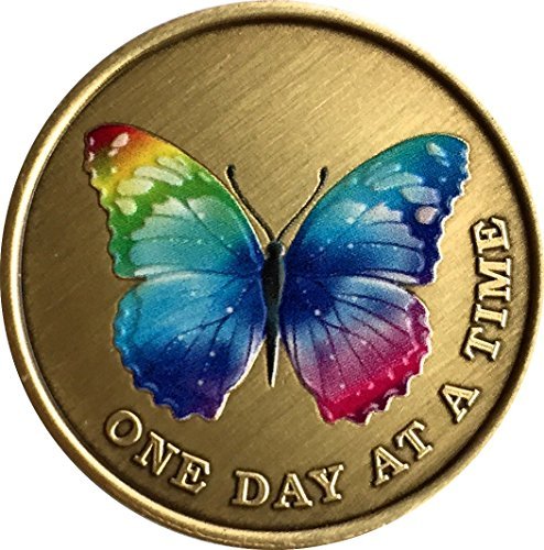 Color Rainbow Butterfly One Day at A Time Medallion Serenity Prayer Bronze Chip