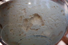 Starter Yeast San Francisco Beast Recipes Mix Bread Yeast Flour Machine ... - $6.50