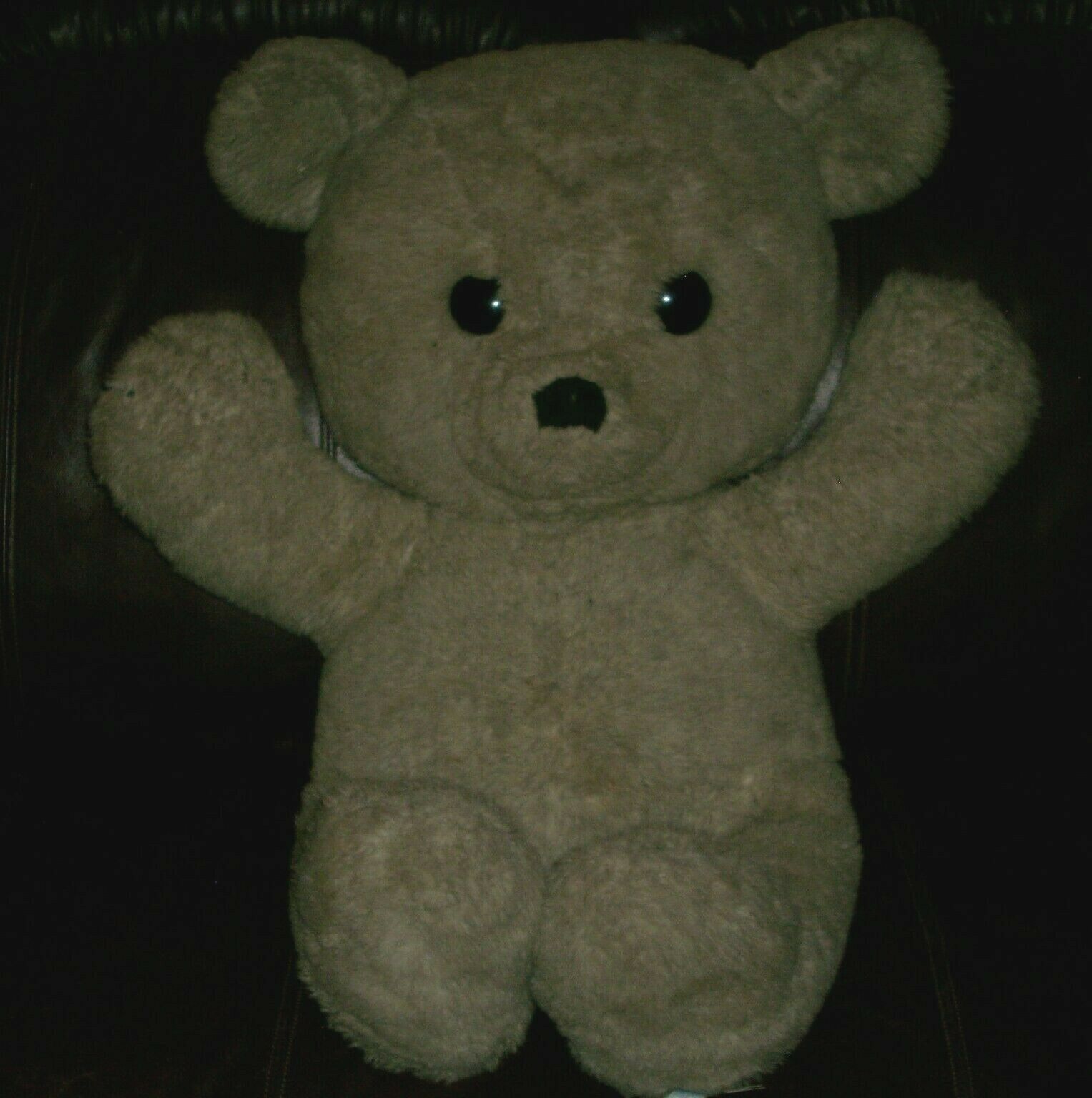 1980s teddy bears
