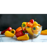 20 Sweet Mini Bell Pepper Seeds Red Orange Yellow Organic Non-Gmo Mixed ... - $7.28