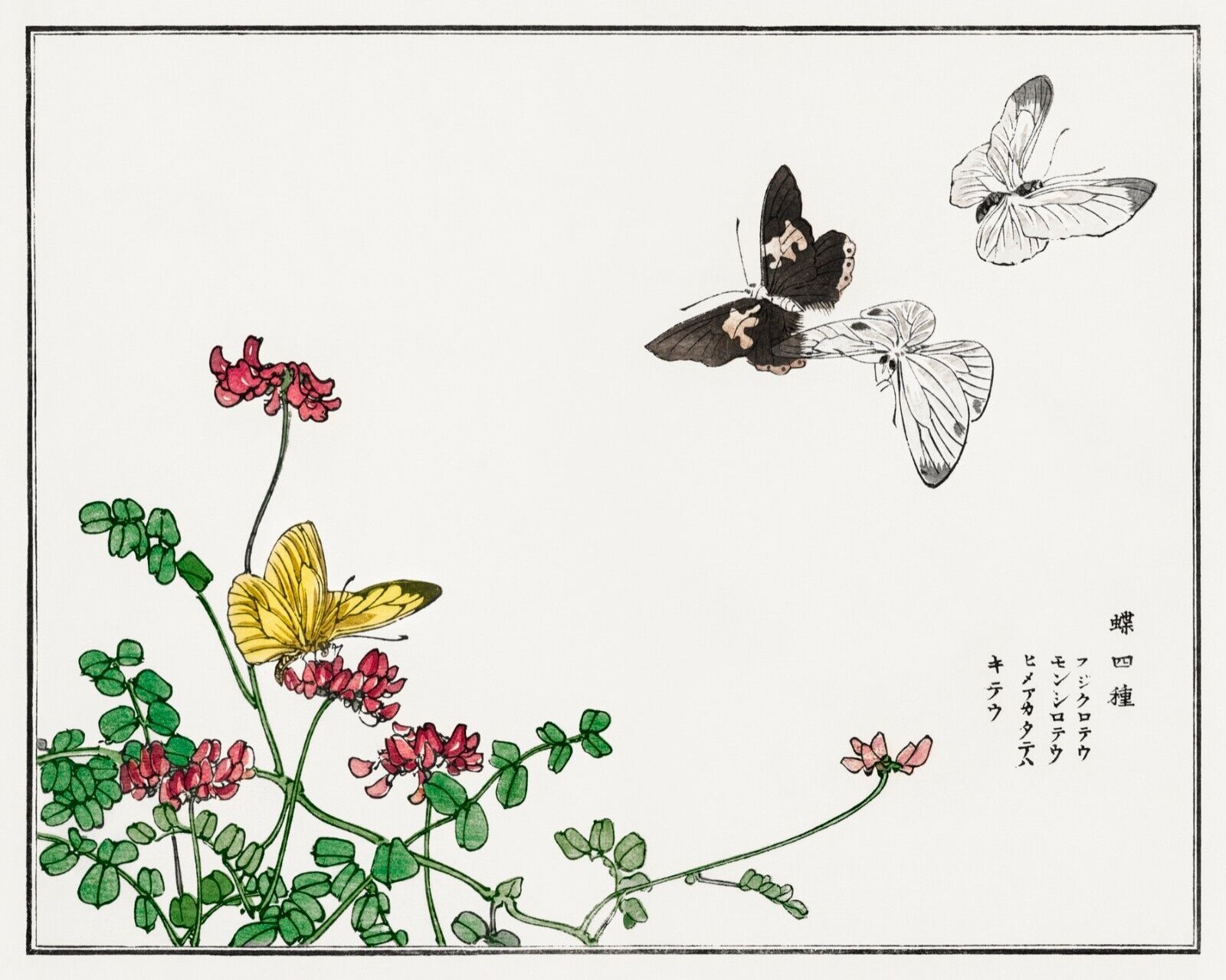 10072.Decor Poster.Room home wall.1910 Japan print.Morimoto Toko art.Floral