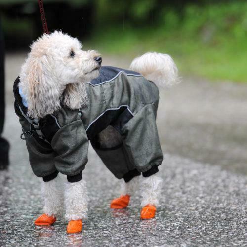 Dog Cat Orange Silicone Protective Waterproof 4Pcs Raining Boot Shoes Size Large