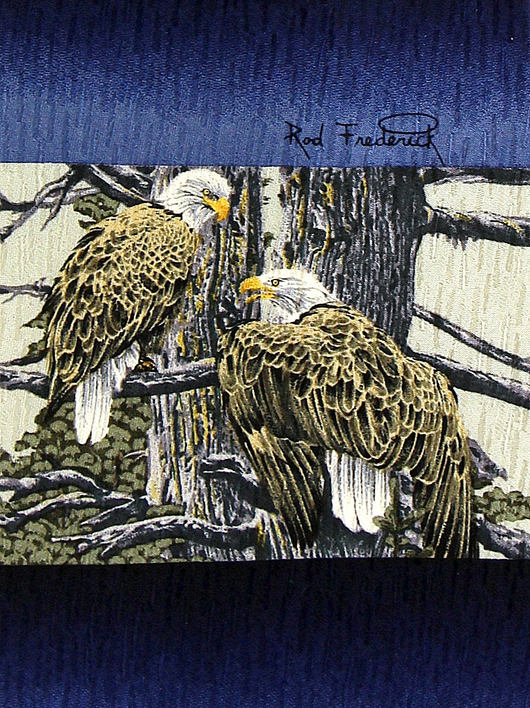 Wild Eagles Men/'s Neck Tie Bald Eagle Novelty Animal Bird Wildlife Black Necktie