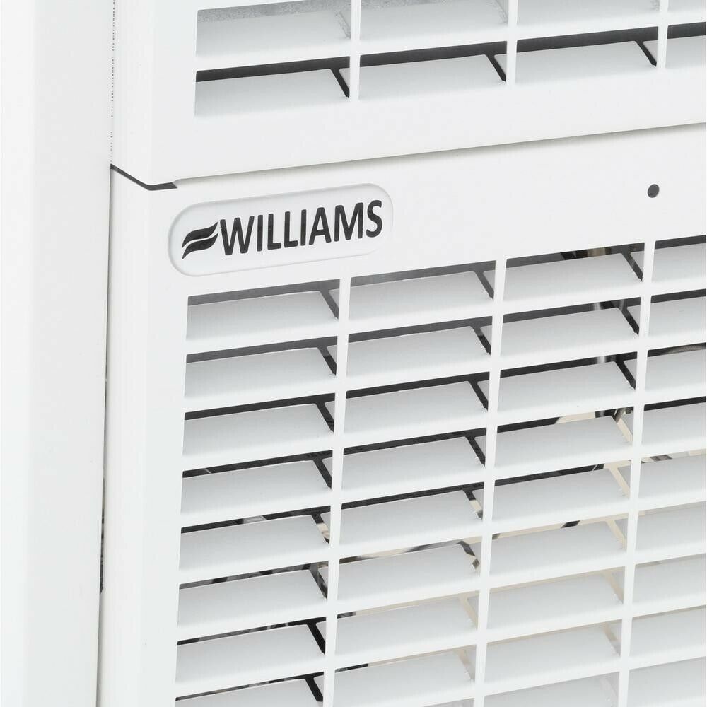 Williams 25,000 BTU/hour TopVent Gravity Wall Furnace Natural Gas