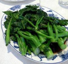 1500  "Chinese Broccolini" Seeds - Green Gai Lan -  Gailan - Kailaan  -  Non-GMO image 1