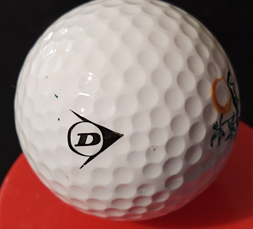 Hawaii Golf Ball Travel Souvenir Golfer Swag And 21 Similar Items