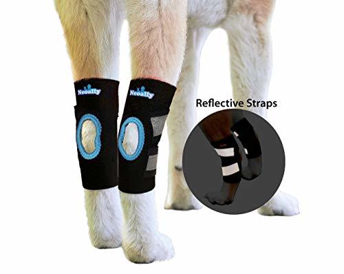 NeoAlly Dog & Cat Back Leg Ankle Braces [Pair] Canine Rear Hock Sleeves ...