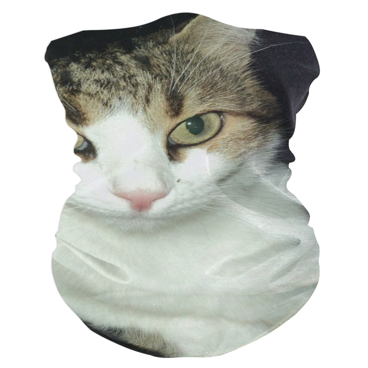 Cat Animals Cat Eyes Elastic Headbands Head Wrap Shawl - Hair Accessories