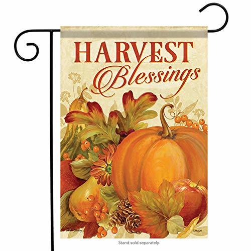 Primary image for Harvest Bounty Thanksgiving Garden Flag-2 Sided Message,12" x 18"