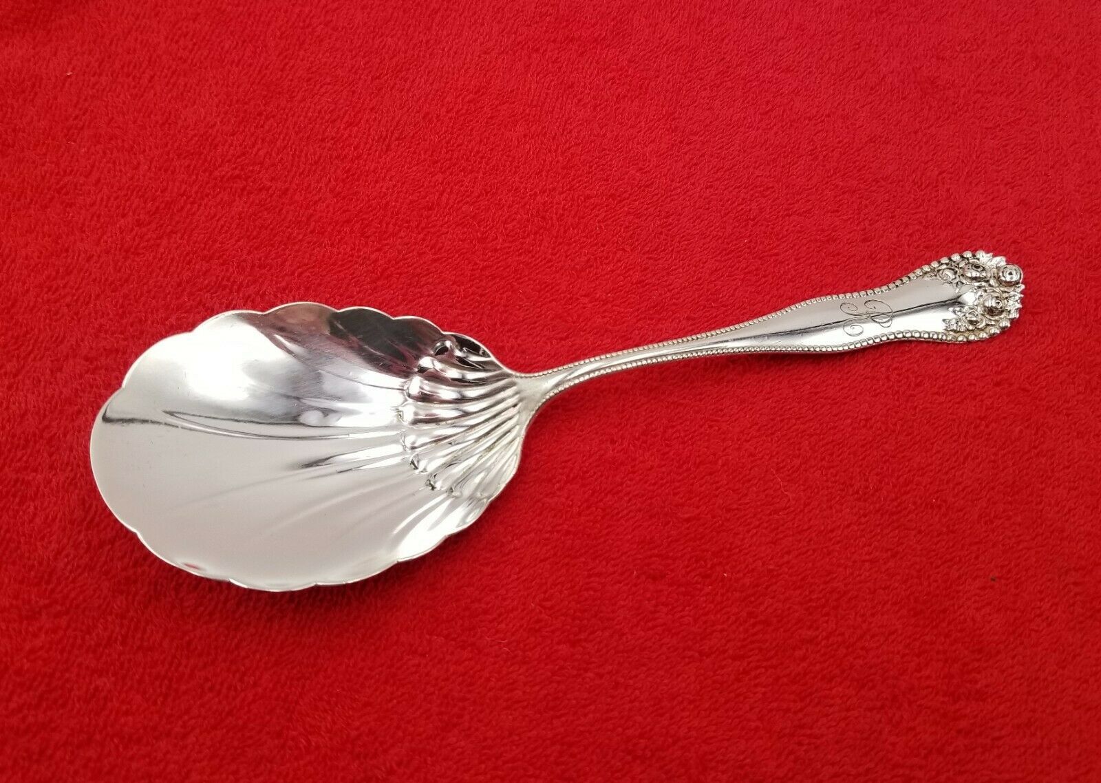 Violet by Whiting Sterling Silver Sugar Spoon GW Flowers in Bowl 5 3//4/"