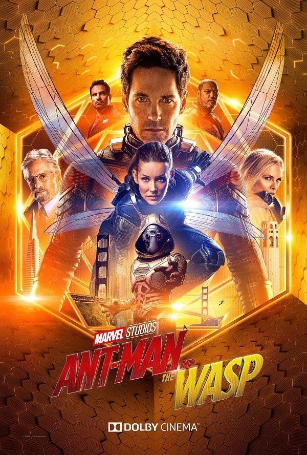 Ant Man and The Wasp Movie Poster Marvel Comics 24x36 27x40 Dolby Film Print