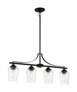 Minka Lavery 4924-66A Shyloh - 4 Light Island Coal  Coal Finish with Cle... - $129.99