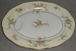 Theodore Haviland ROSALINDE PATTERN 13 7/8&quot; Oval Indented Well Platter N... - $49.49