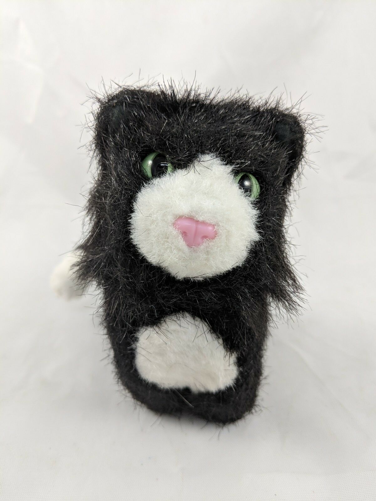 licorice american girl cat