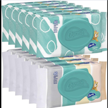 Charmin Flushable Wipes, 12 packs, 40 Wipes Per Pack, 480 Wipes Total image 1
