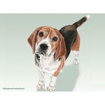 Beagle Fleece Blanket - $39.95