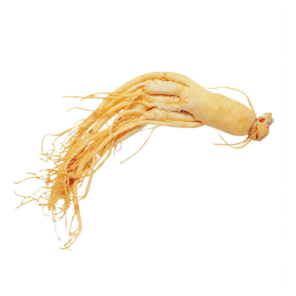 50pcs Panax Ginseng Seeds Asian Wild Planting Chinese Medicine Herbal ...