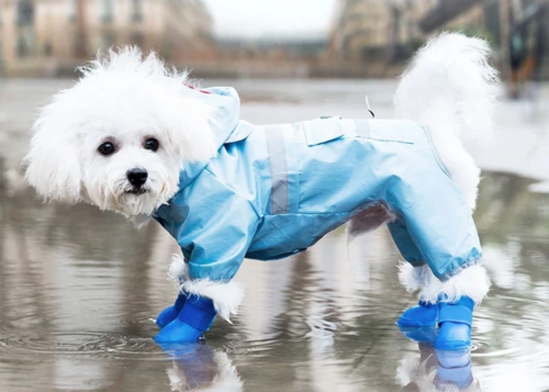 Dog Cat Blue Silicone Protective Waterproof 4Pcs Raining Boot Shoes Size Large