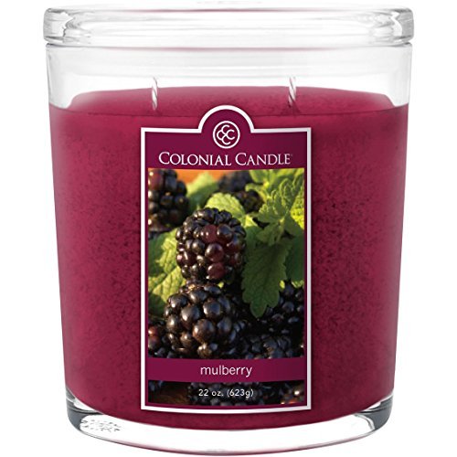 Colonial Candle Mulberry 22 oz Scented Oval Jar Candle Candle & Soap