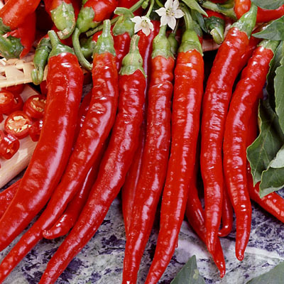 Primary image for Non GMO Cayenne Long Slim Pepper - 50 Seeds