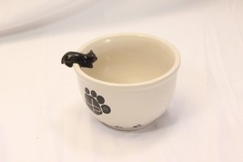 Cat Bowl Pet company John Paul - $19.59