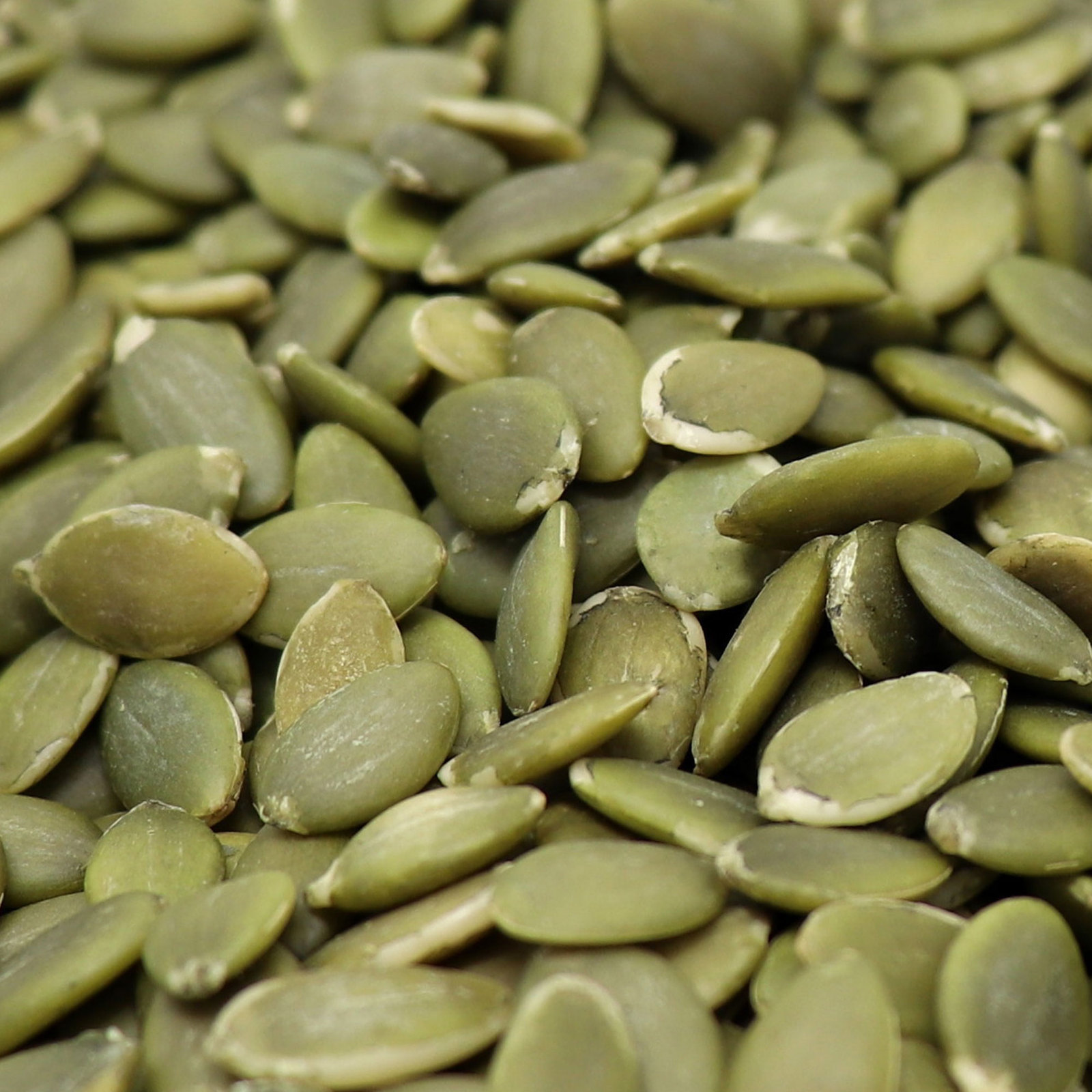 The Nut Garden Pumpkin Seeds, Raw Bulk (5 Lbs) - Nuts & Seeds
