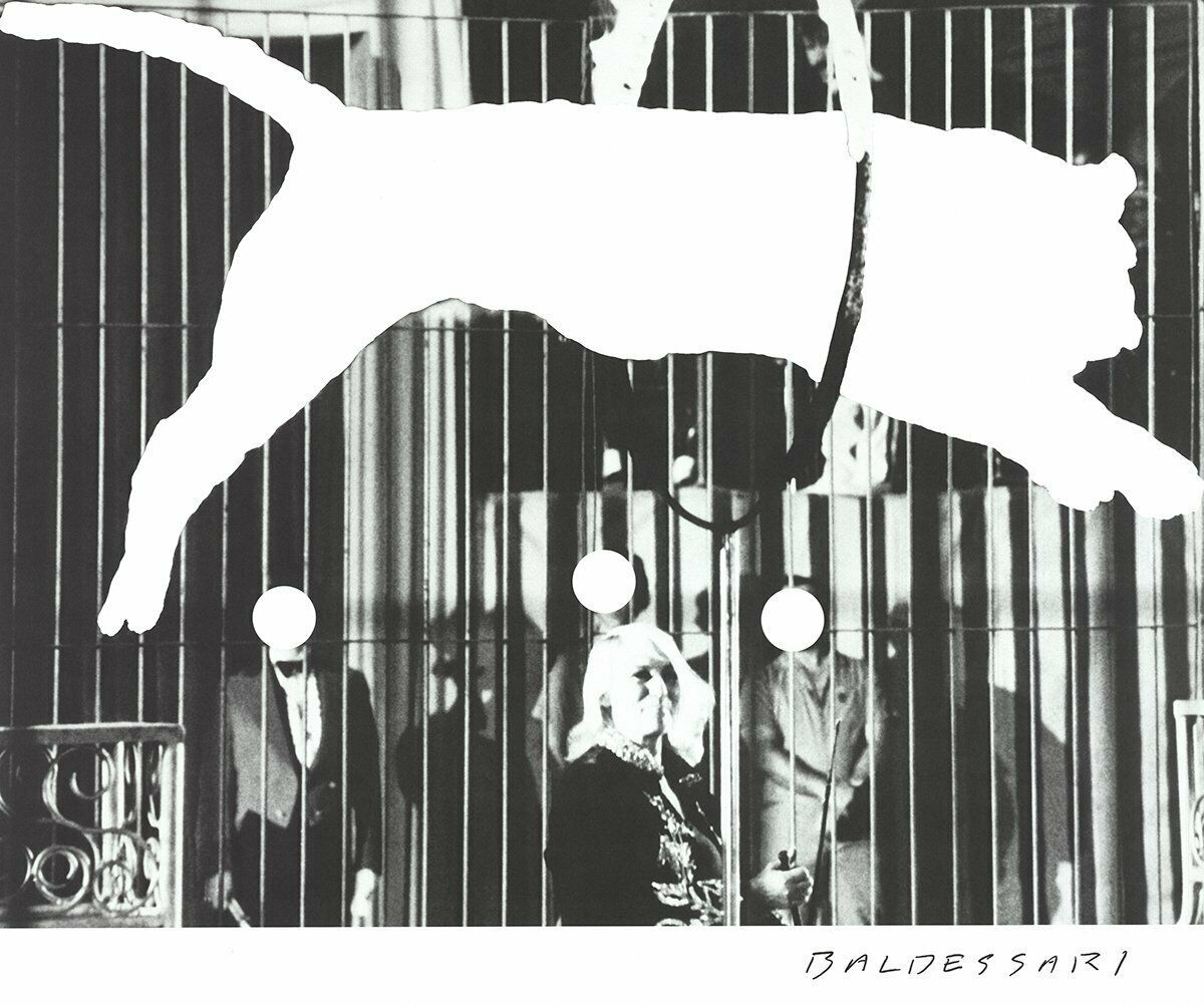JOHN BALDESSARI Tiger with No Stripes 20 x 24 Poster 2017 Pop Art Black & White