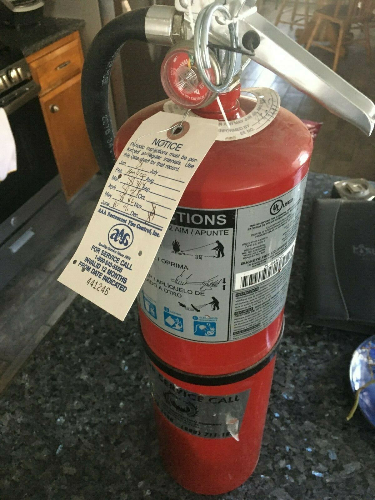 10lb Buckeye Fire Extinguisher model 10HI-SA80 abc - Fire Extinguishers