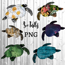 Sea Turtle Collection/PNG Clip Art/Sublimation/Commercial Use/Digital Do... - $3.99